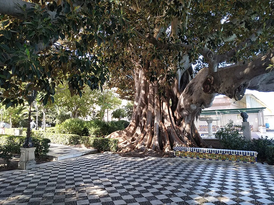 Mirador y Paseo de la Alameda Apodaca